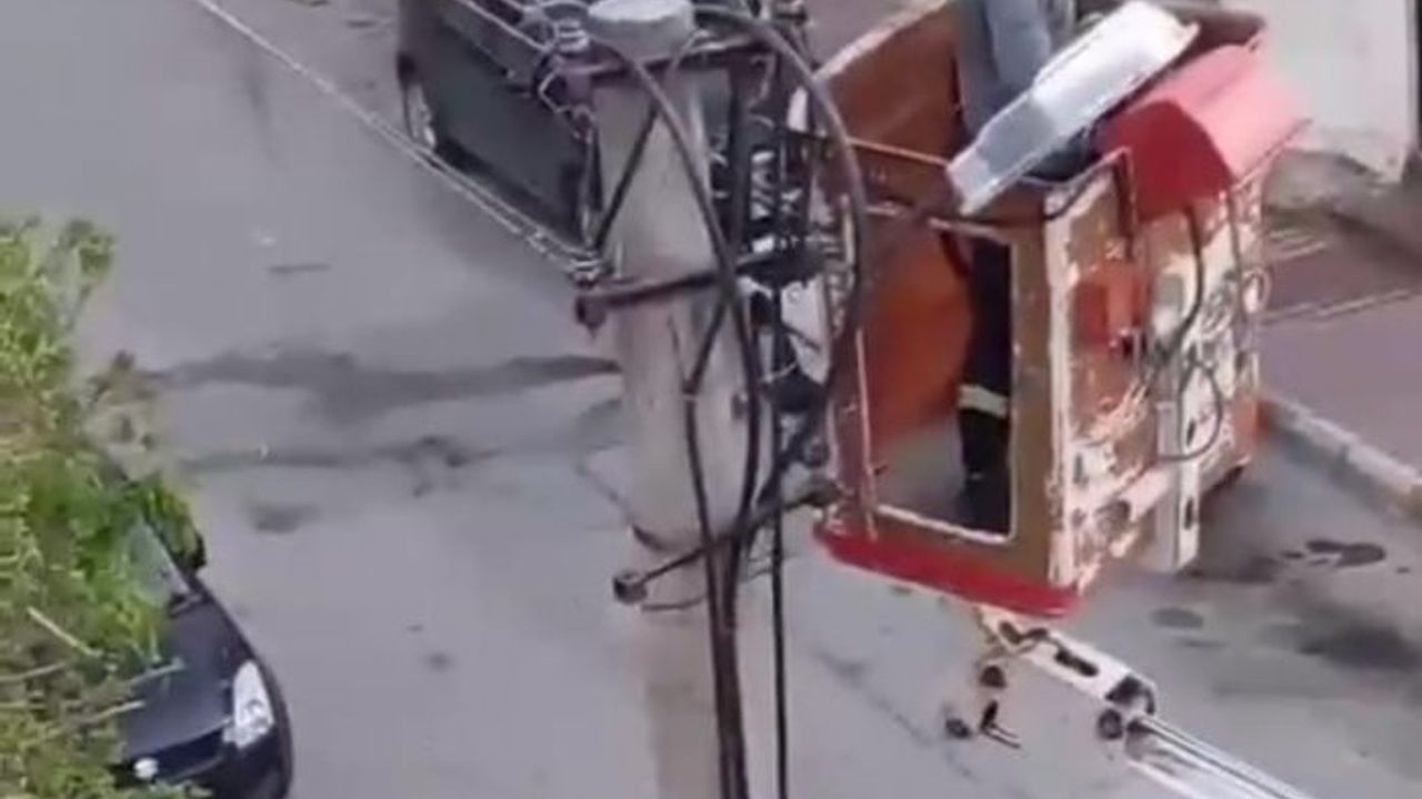 Kumru elektrik tellerine takıldı