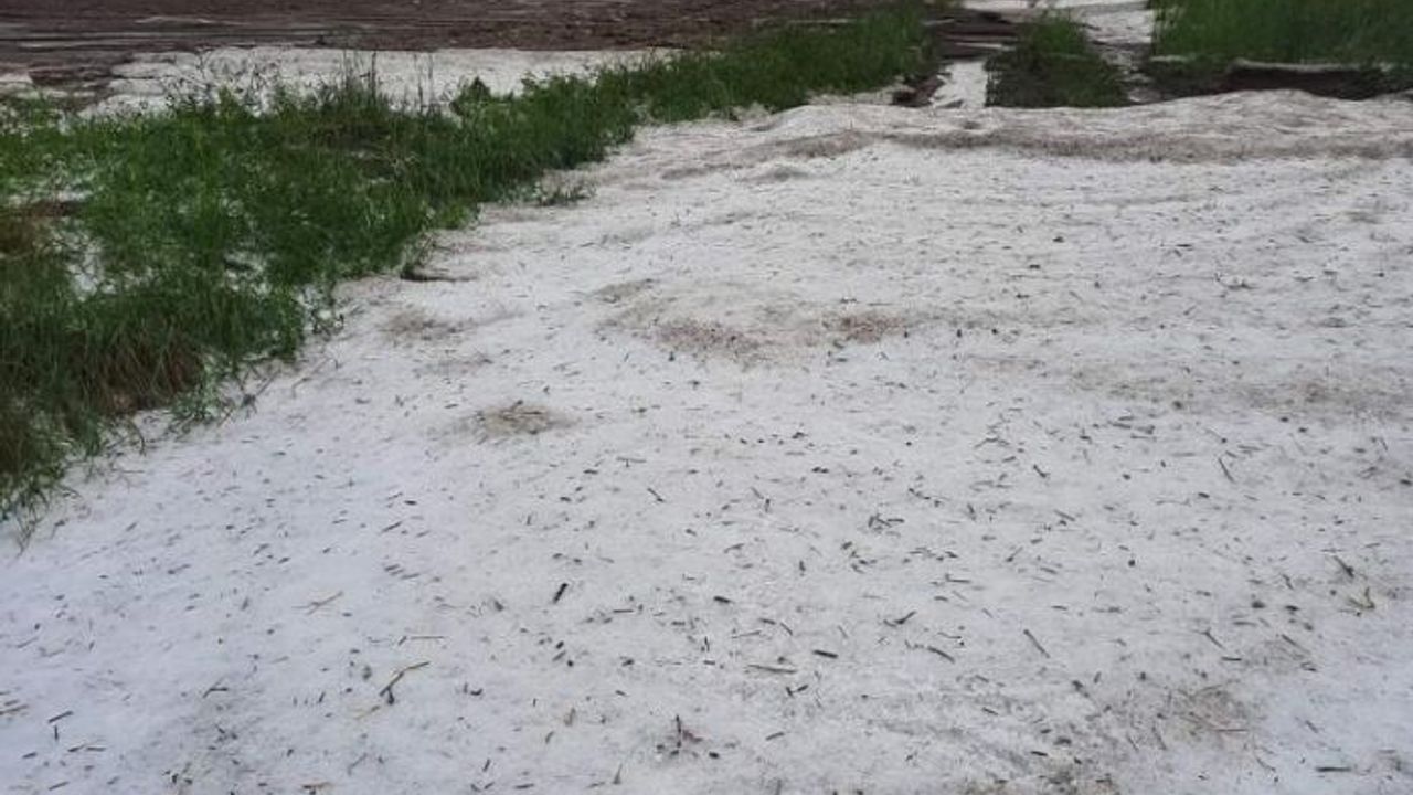 Sungurlu'da tarım arazilerini dolu vurdu