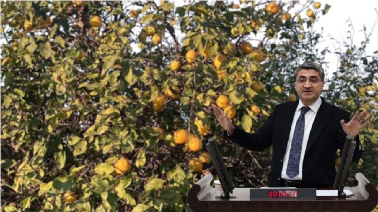 Ekmen'den Zirai Don Felaketi ve Yatırım Çağrısı