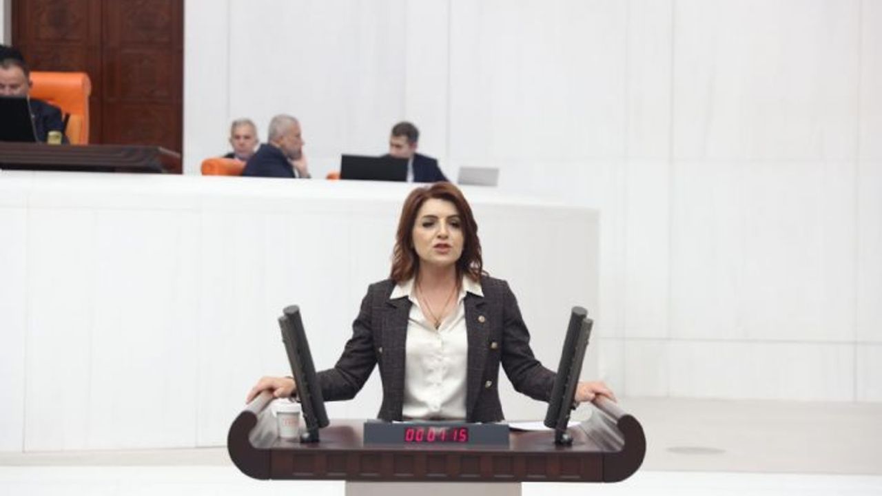 "Büyükşehir yasası ile mağdur edilen köylülerin sorunlarına çözüm bulunmalı"