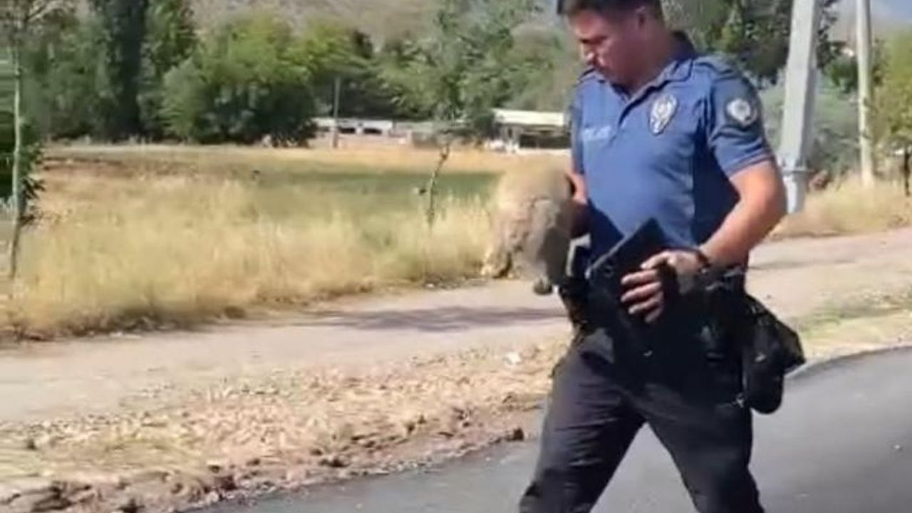 Polis, suçluyu yakalamak için değil, hayat kurtarmak için koştu