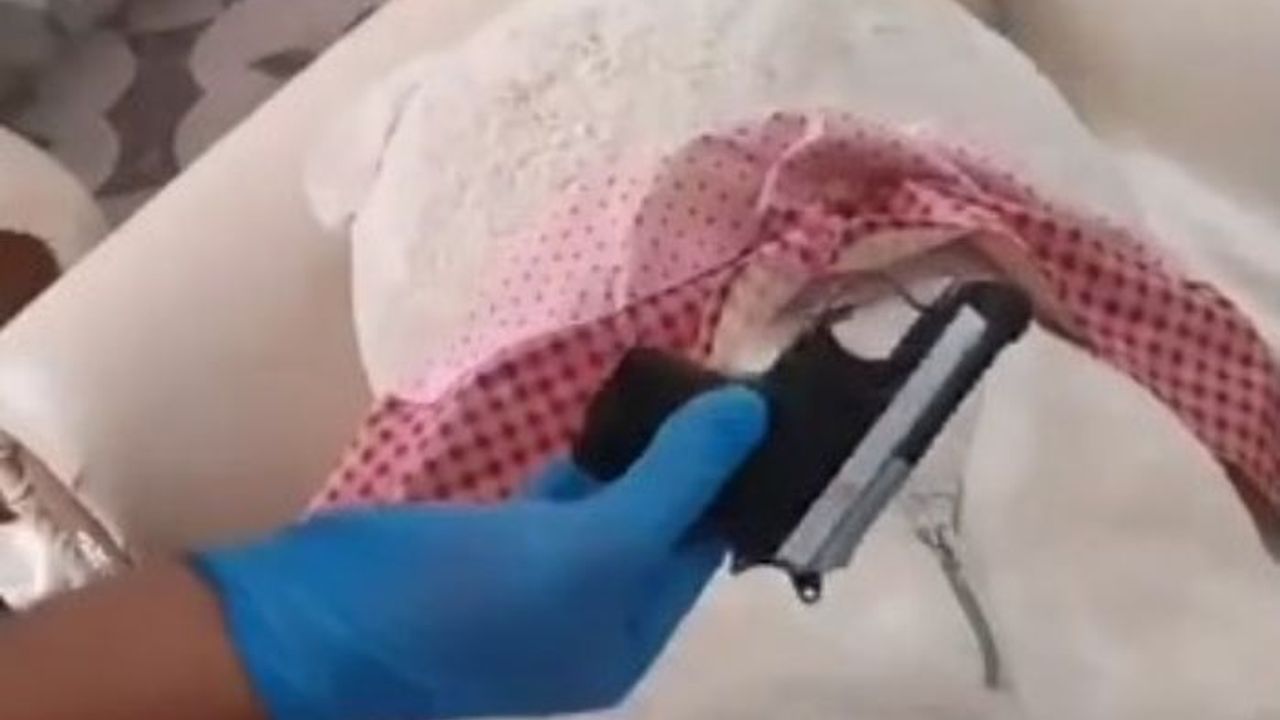 Oyuncak ayının içinden çıkan şey şoka soktu