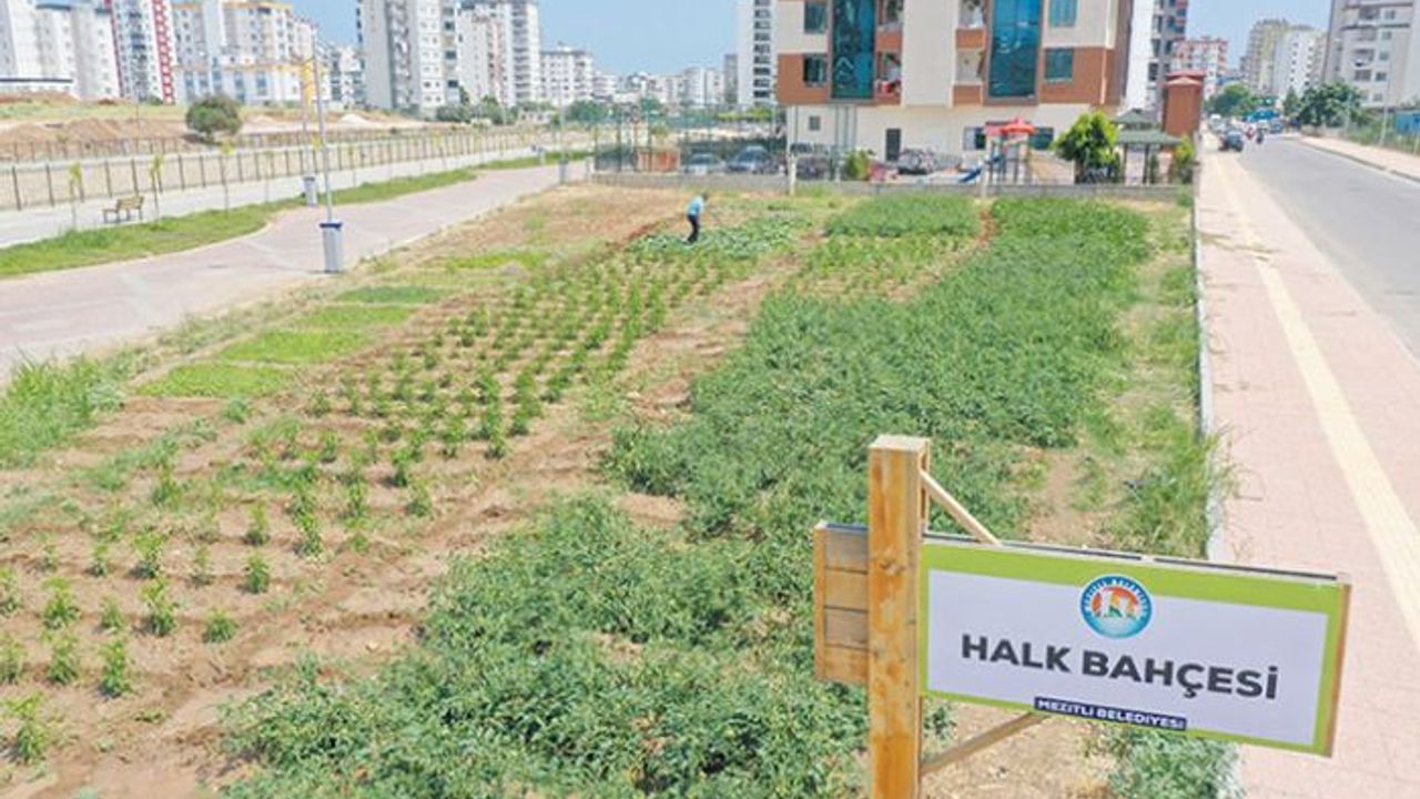 Mezitli Belediyesi'nden ihtiyaç sahipleri için Halk Bahçesi'