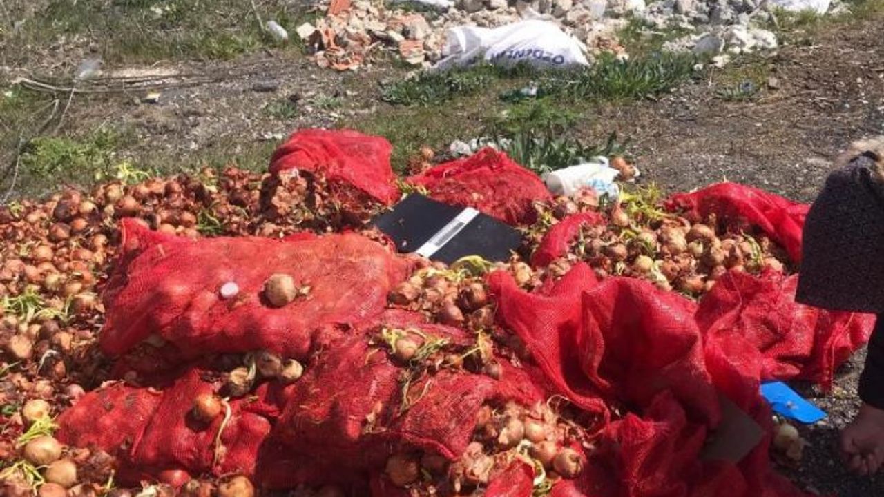 Yol kenarına dökülen soğanlara vatandaşlardan tepki