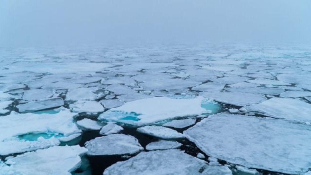 Arktik buz örtüsü son 40 yılın en düşük seviyesinde