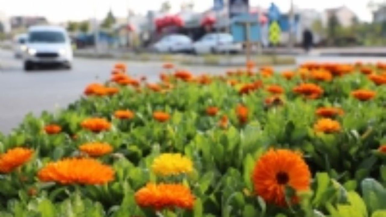 Büyükşehir'le Mersin Her Mevsim Baharı Yaşıyor