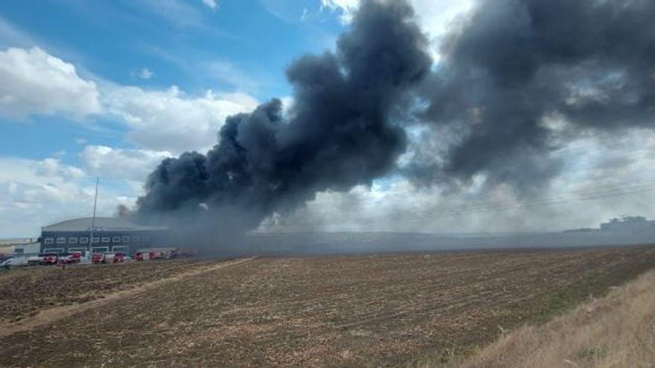 Tarlada başlayan yangın, fabrikaya sıçradı