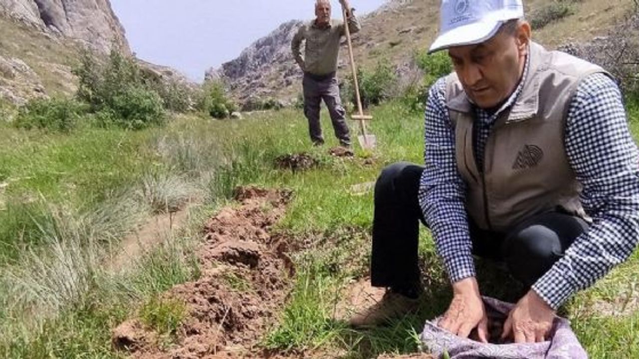 Elazığ'da salep soğanı toplayan 13 kişiye 1 milyon 518 bin lira ceza