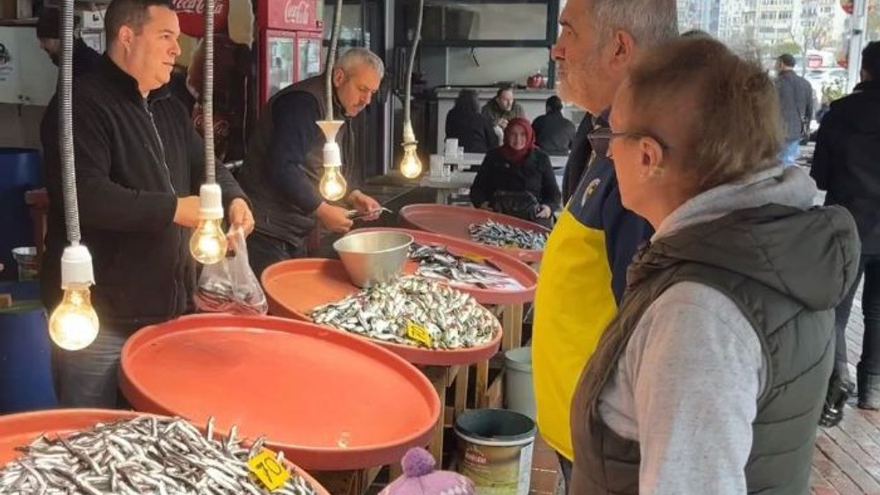 Büyük balık küçük balığı yiyemedi, hamsi bollaştı