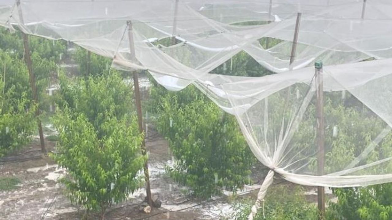 Mersin'de dolu ürünlere zarar verdi