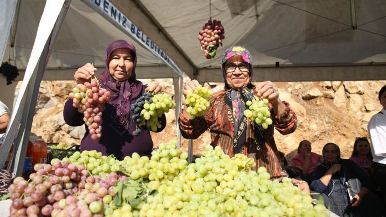 Mersin'de Üzüm Şenliği coşkusu