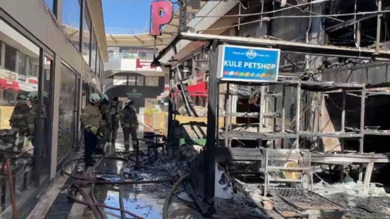 Avcılar'da bir petshopta çıkan yangında faciadan dönüldü