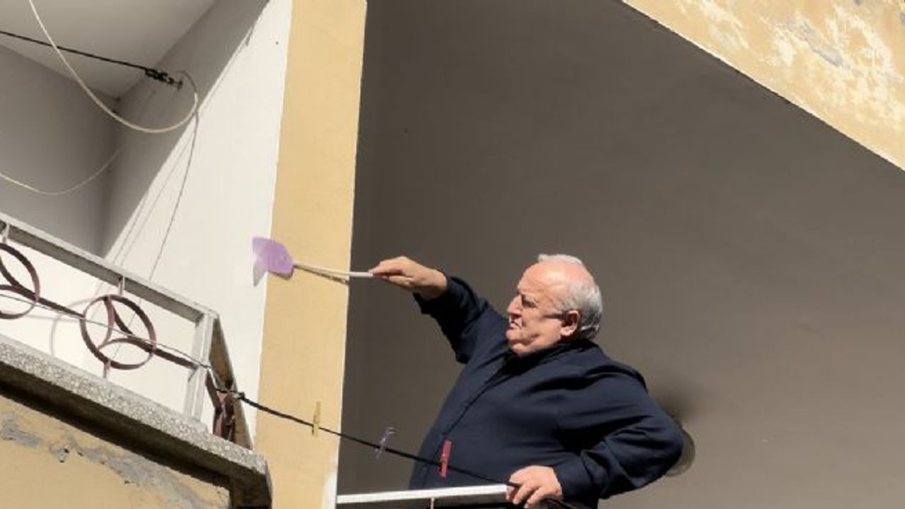 Köy uğur böcekleri tarafından basıldı