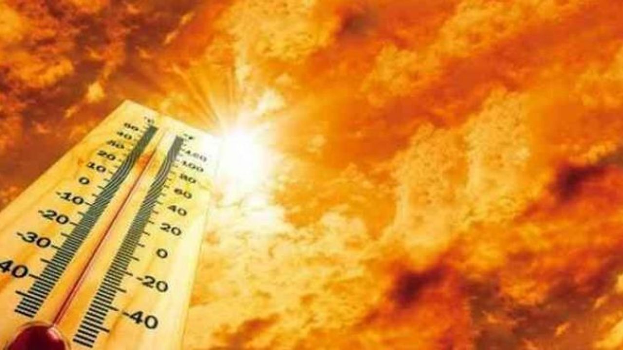 Sıcak havalar yaşanıyor