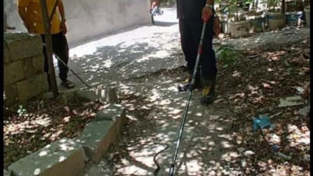 Eve giren yılanı itfaiye yakaladı