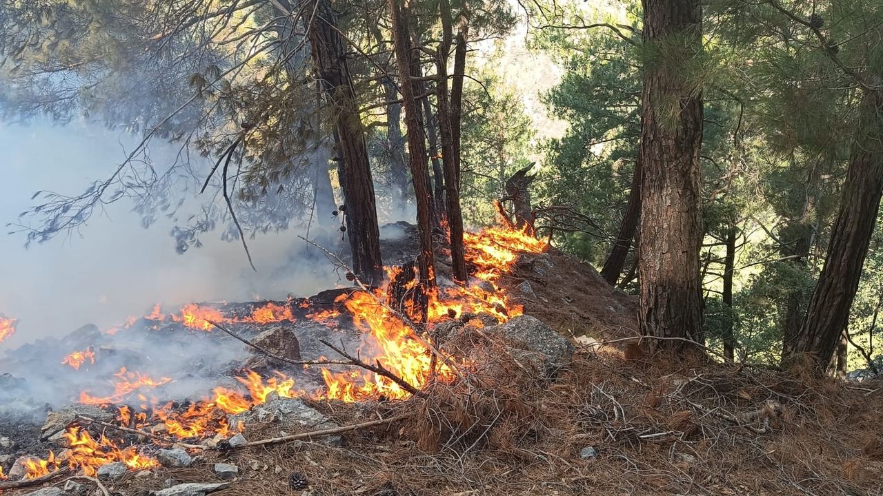 Kozan’da Orman Yangını, Müdahale Devam Ediyor