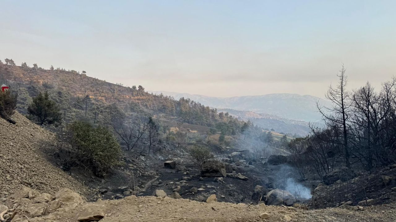 Kahramanmaraş’ta Orman Yangını 500 Hektarı Kül Etti: Müdahale Sürüyor