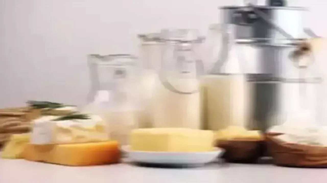 Haziran’da Süt Ürünleri Artışta, Tavuk Eti Üretimi Azaldı