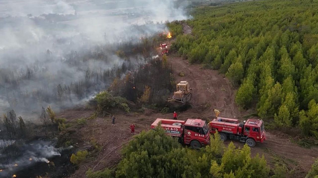 Sumbas İlçesinde Anız Yangını: Havadan ve Karadan Müdahale Edildi