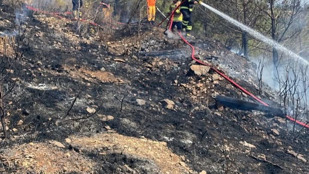 Hatay’ın Arsuz ilçesinde çıkan orman yangını kontrol altına alındı