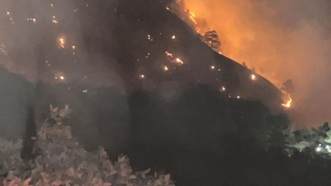 Denizli ve Aydın Sınırındaki Orman Yangını 3 Gündür Devam Ediyor