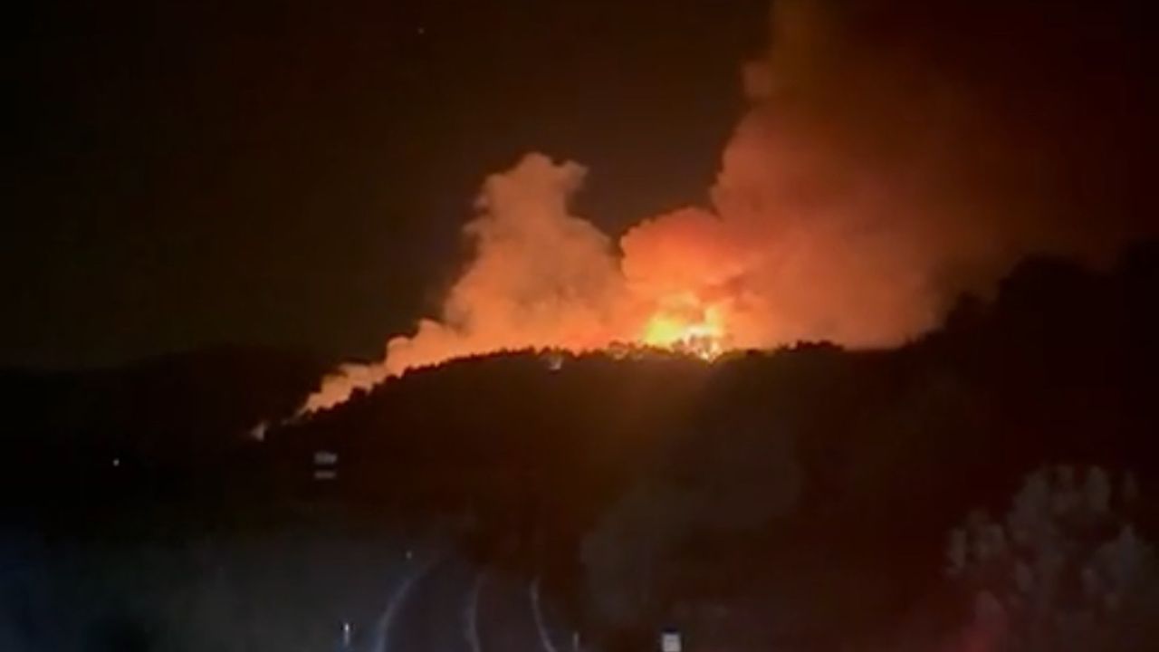 Bayramiç’te Orman Yangını: Ekipler Alevlerle Gece Boyunca Mücadele Ediyor