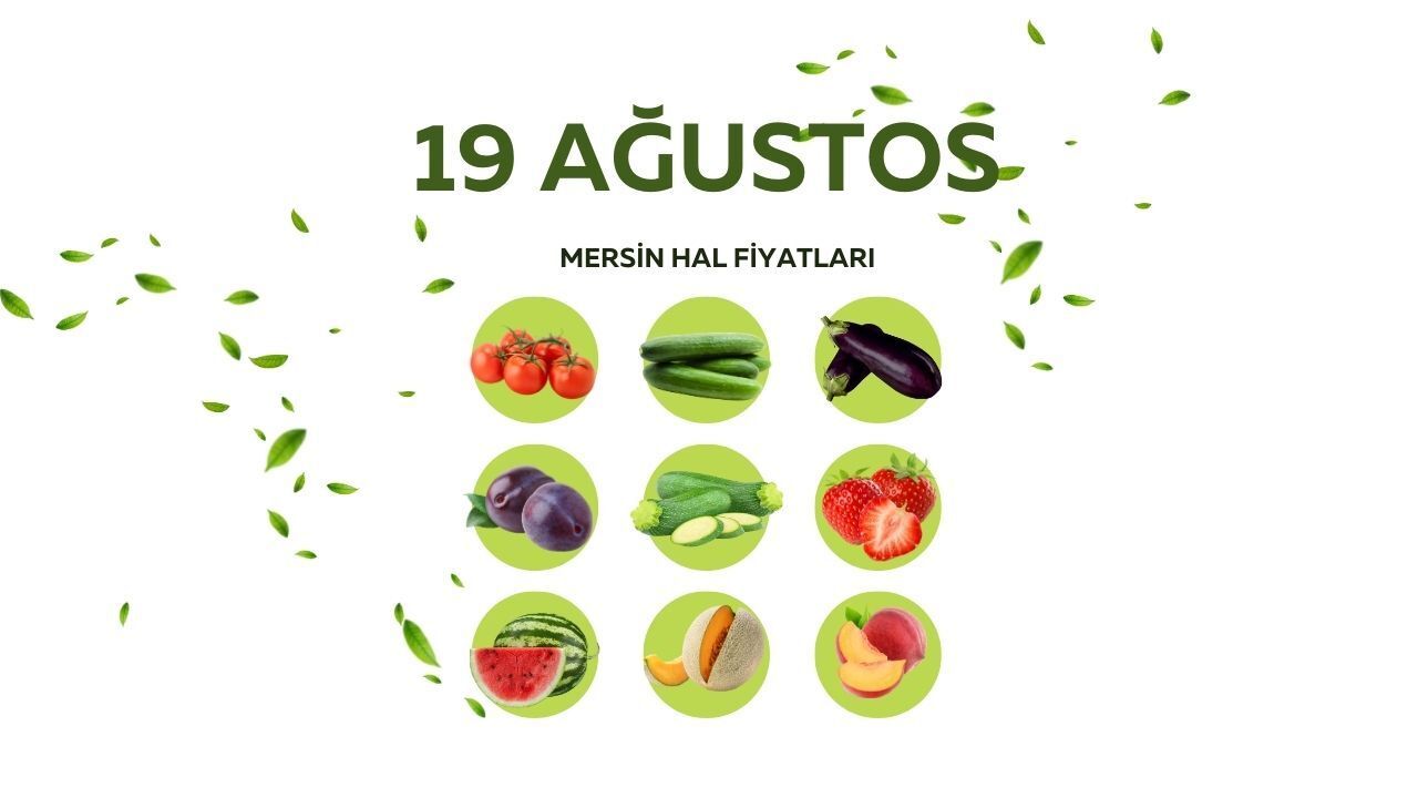 Mersin Güncel Hal Fiyatları 2025: Meyve ve Sebze Fiyat Listesi (19 Ağustos)