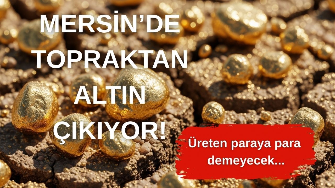 Mersin'de topraktan altın çıkıyor! Belediyeden hibe alan üretici zengin olacak