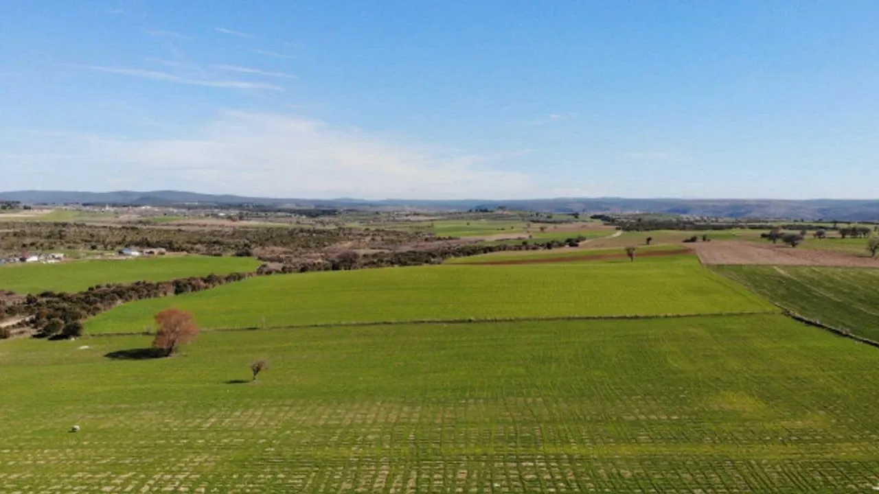 Mersin'de devlet dairesi duyurdu: 48 dönüm alan bu fiyata satılacak