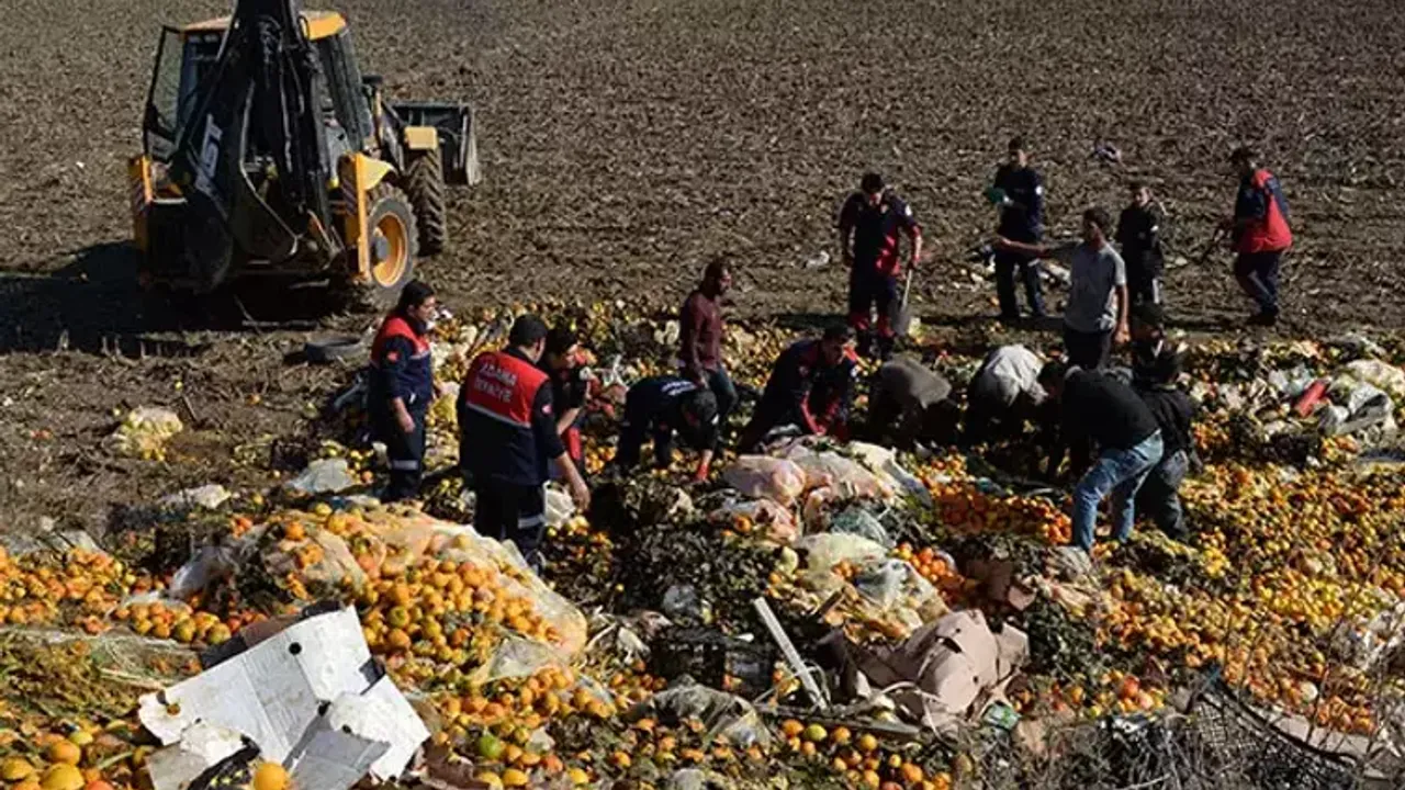 Mersin Narenciye Atıklarından Yüksek Katma Değerli Ürün Üretiyor