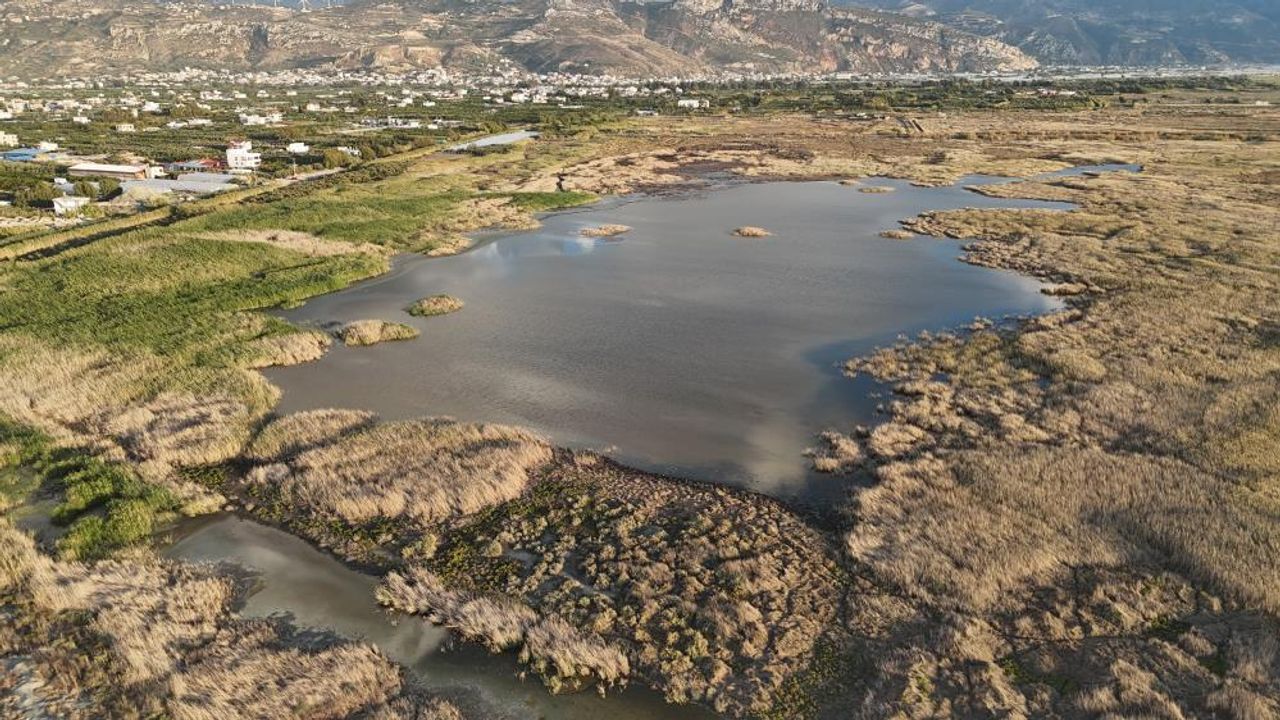Yağışlar Hatay’daki Milleyha Kuş Cenneti’ni Yeniden Canlandırdı