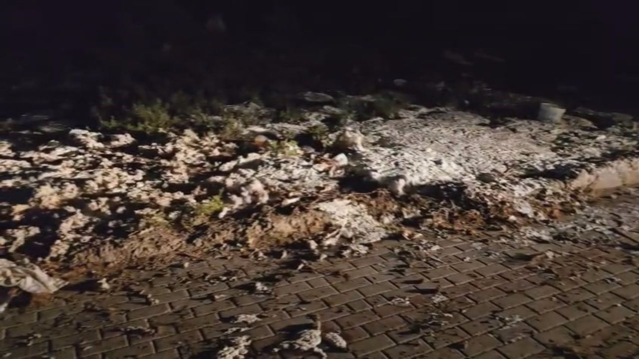 Mersin’de Yol Kenarına Dökülen Yoğurtlar Belediyeyi Harekete Geçirdi