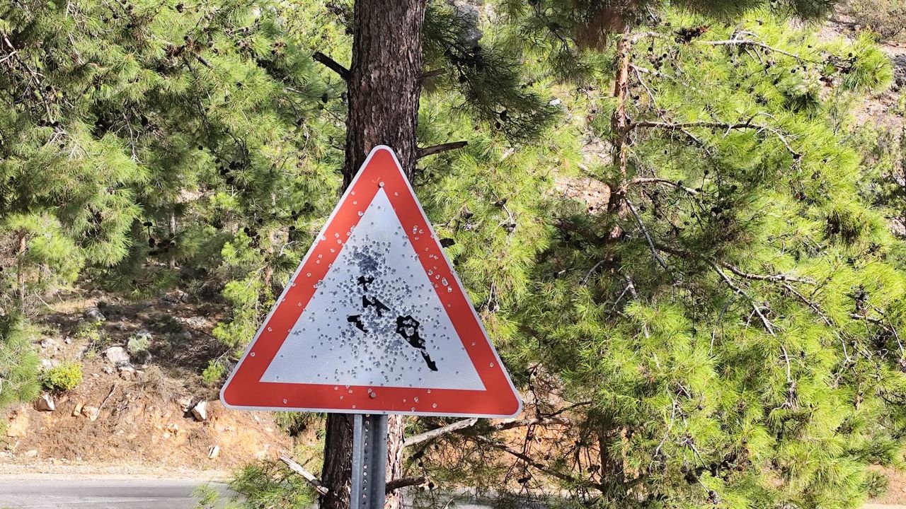 Bozyazı Yayla Yolunda Trafik Levhalarına Kurşunlu Saldırı