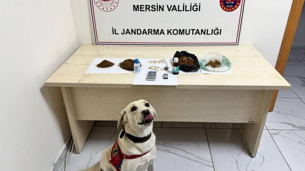 Mersin'de Zehir Tacirlerine Operasyon: 5 şüpheli tutuklandı