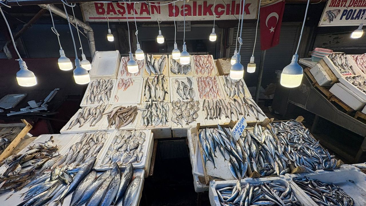 Havalar İyi Gitti Balık Fiyatları Artmadı