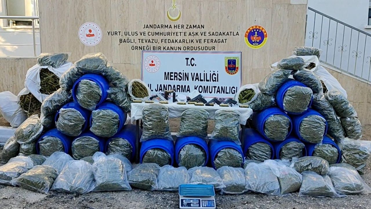 Mersin’de Binlerce Kök Kenevir Ele Geçirildi: 4 Gözaltı
