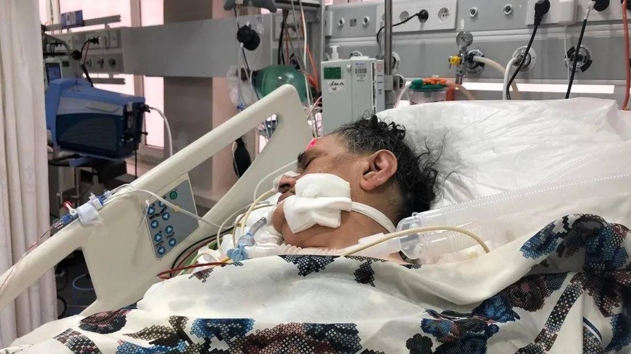 Deli dana hastalığı nedir, belirtileri neler? Deli dana hastalığı insana nasıl bulaşır, ölümcül mü?