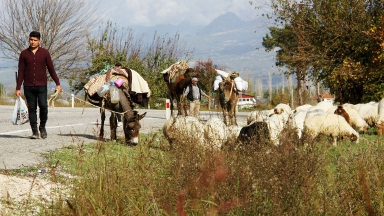 Mersin Ağzına Özgü Yöresel Kelimeler Sözlüğü