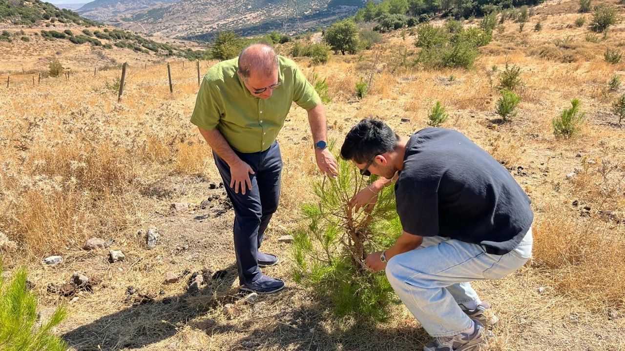 İKÇÜ'den su hasadı araştırması: Toprak nemi 2 kat arttı!