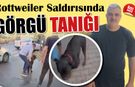 Mersin’de Rottweiler Saldırısı Tanığından Dikkat Çeken İddialar!