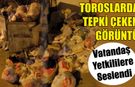Toroslar’da Çöp Yığını İsyanı! Vatandaşlardan Belediyeye Tepki