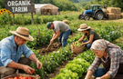 Organik Tarım ve İyi Tarım Destek Başvuruları Başladı