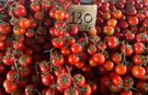 Domates bu hafta da pazarda şampiyonluğunu sürdürdü