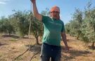 Karpuz toplarken yılanla burun buruna geldi