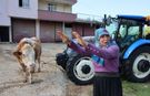 "Bir anda sel geldi, ahırın üstünü aştı"