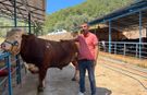 1 ton 200 kilogramlık dana 450 bin TL'ye alıcı buldu