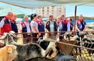 Mersin’de Kurban Bayramı öncesi satış noktalarında sıkı denetim