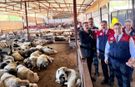 Vali yardımcısı kurban pazarında denetime çıktı