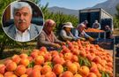 Tepeköy’de şeftali üreticisi maliyetin altında kaldı