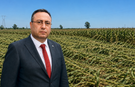 Başkan Avcı: ''Fırtınanın en büyük zararını mısır üreticisi yaşadı''